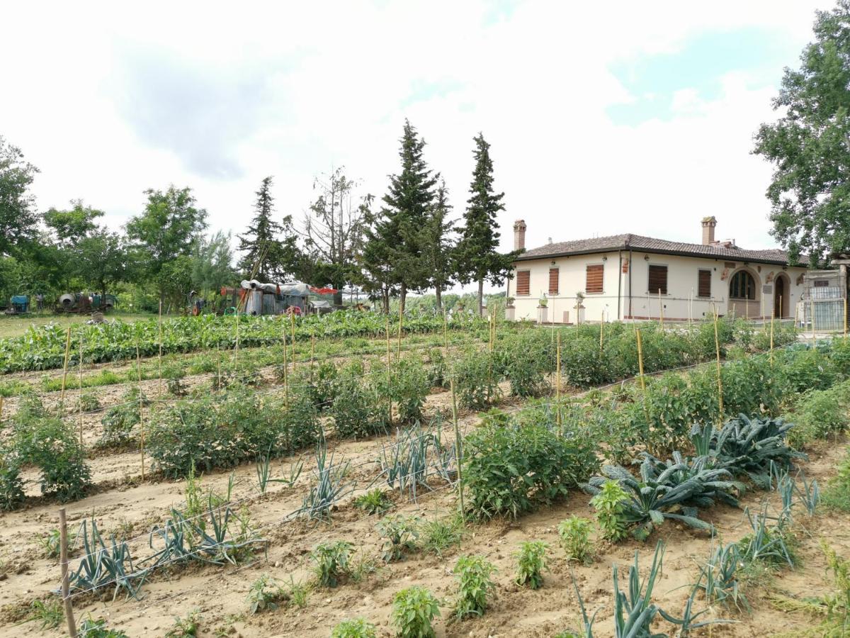 Masseria Le Querciole Fauglia Exterior foto